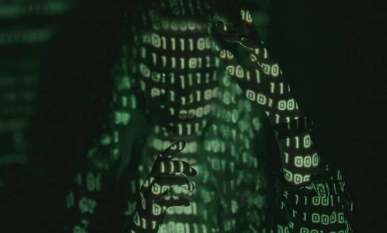 meaning of 52013l4 code