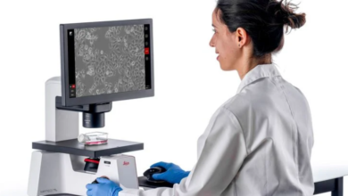 Fueling the Future: How Specialized Media Supports the Growth of Specific Cell Lines